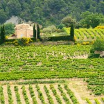 Créer son entreprise à la campagne